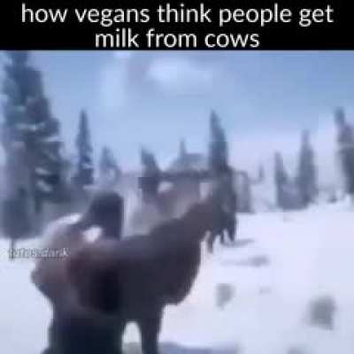I will go on r/ sonic porn