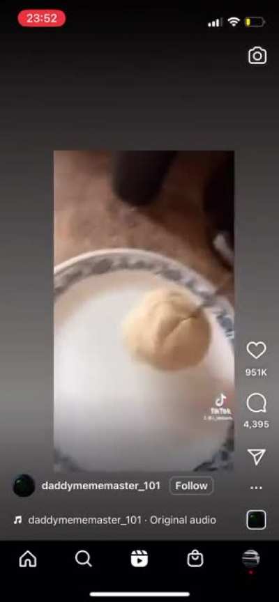 Poor chihuahua
