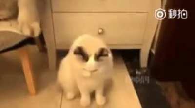 touch tha hand