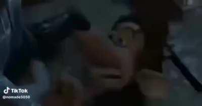 NOOOOOOSSAAA