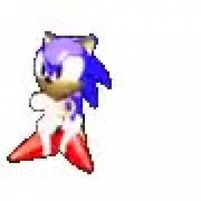 Sonic wildin