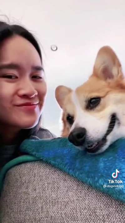 we don't deserve dogs
