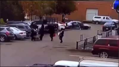 Another angle of Zoo killers (Read body