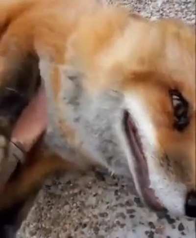 Jealousy