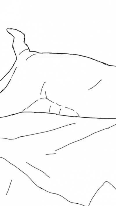 We now return to our regularly scheduled floppaposting