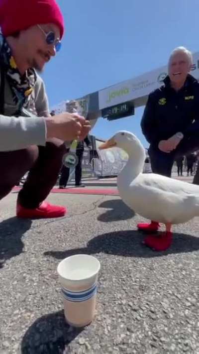 Duck runs in a marathon and gets a medal