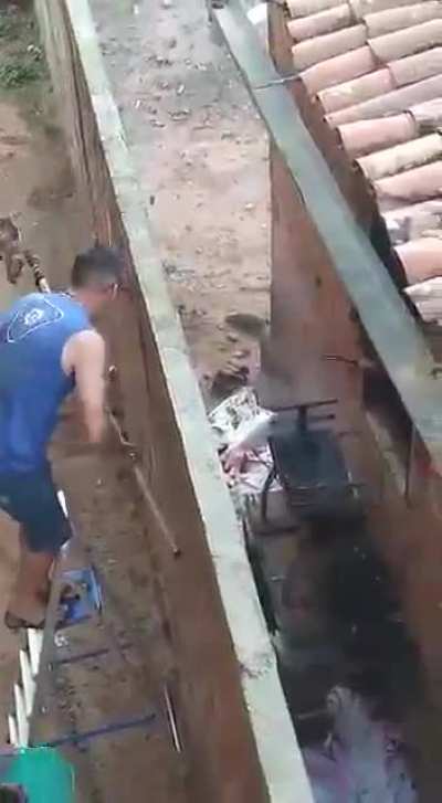 churras tá chegando, fica esperto mufasa