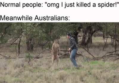 meirl