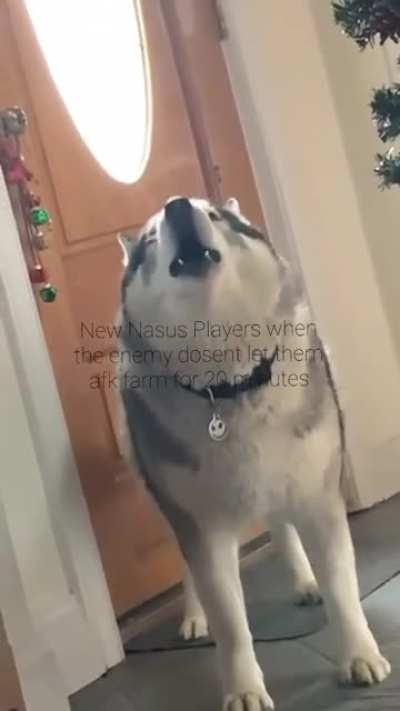 Angry woofer