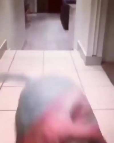 walter?????????????????!????