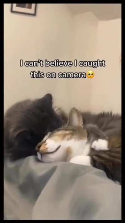 *snuggles*