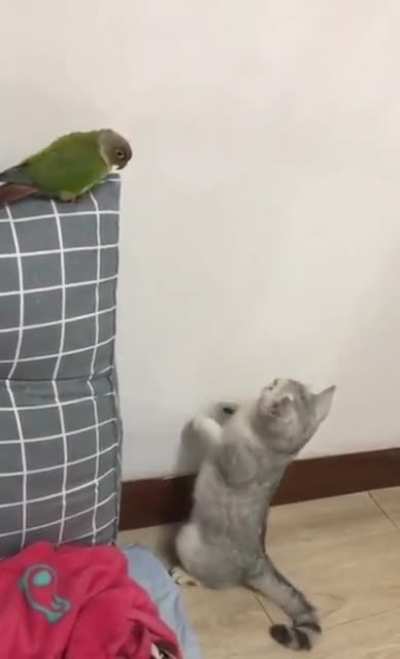 А я чё, я ничего.