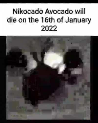 1/16/2022