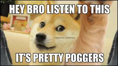 POV:Doge hands you his wireless headphones to listen to some pogger music