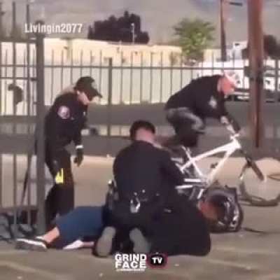 Cops fight criminal on the ground