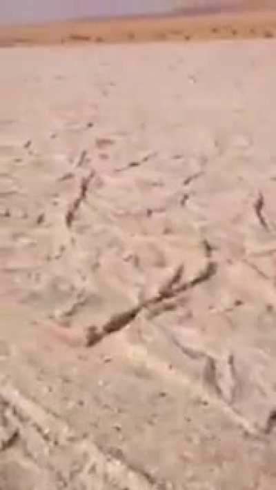 Here's a River of Sand just in case you don't know it does exist.