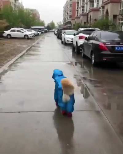 The road is dangerous...I will be your guide
