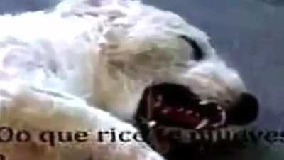 Fernan el crkacj 2