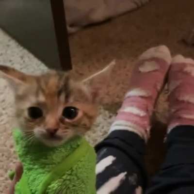 To this day, Athena can’t stand being purritoed