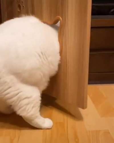 i'm fit this.