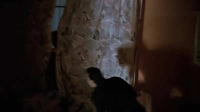 Annette Bening In The Grifters