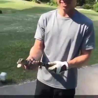 Croc