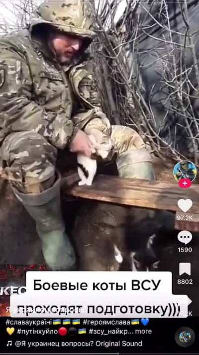 Battle kitty training is tough