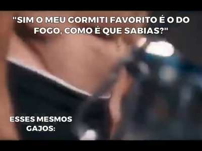 GORMITI DE FOGO>>>>>>
