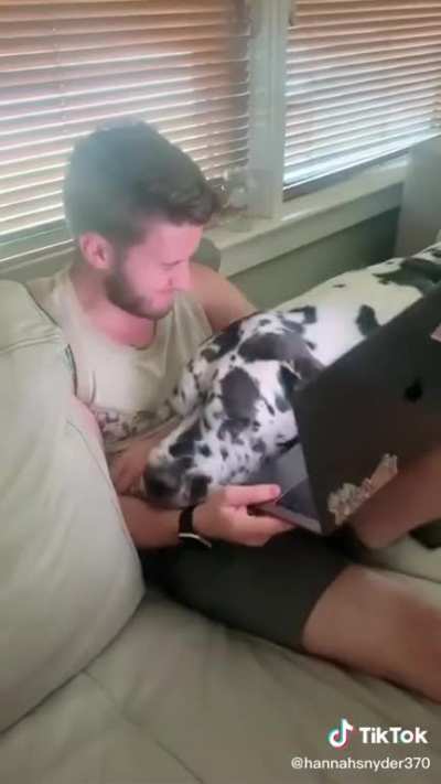 Working from home with pets be like