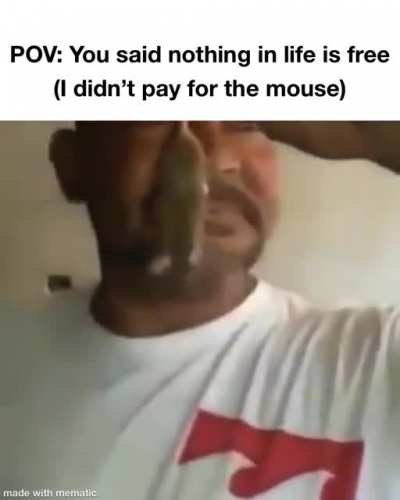 🐀 moment