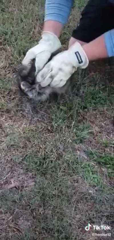 Little guy