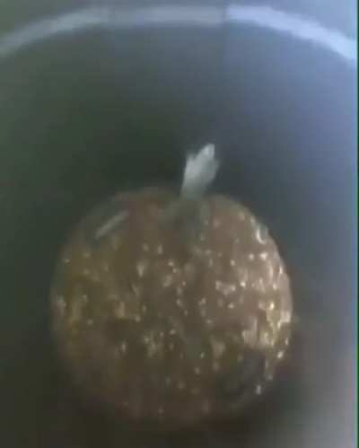 medo