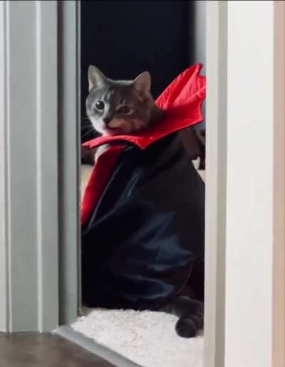 Meaw-cula