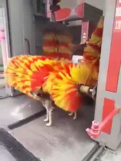 Maybe Maybe Maybe
