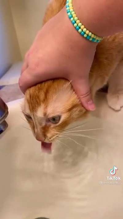 Saw this little hydro homie on tiktok