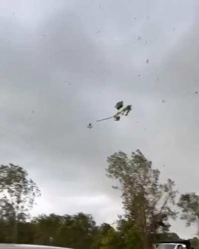 The tornado whisperer