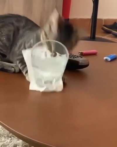 Aww so cute.... what, why?