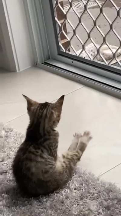 Enjoying the moment