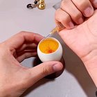 chicken being grown in the duck eggshell