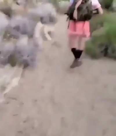 Tremendo el camuflaje