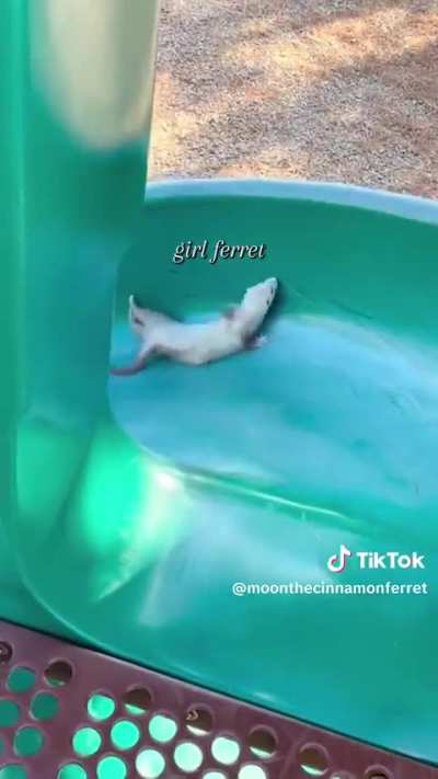 🥹🥹