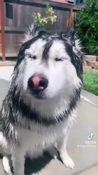 CrUeL hUmAn KiLlInG pOoR aNiMaLs By DrOwNiNg ThEm