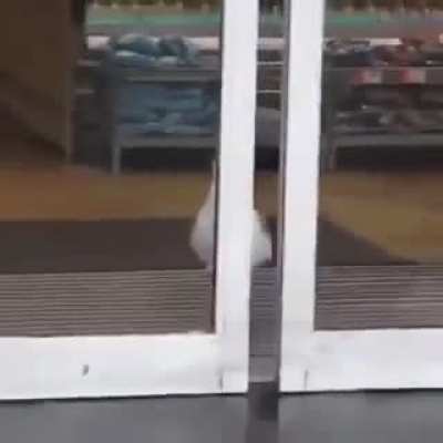 Thanks, I'll just help myself...(Credit in comments)