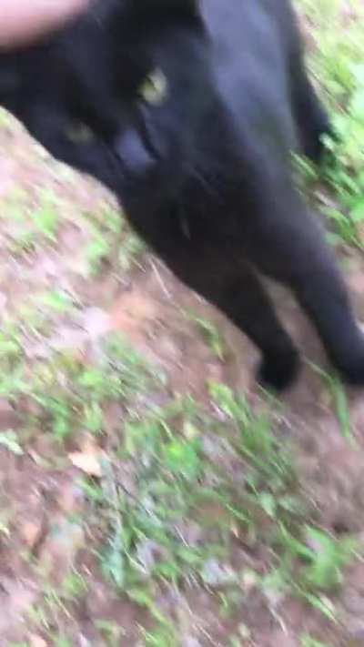 This is Peggy