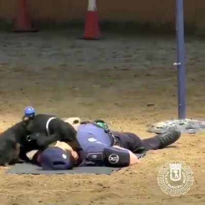 I can save you human