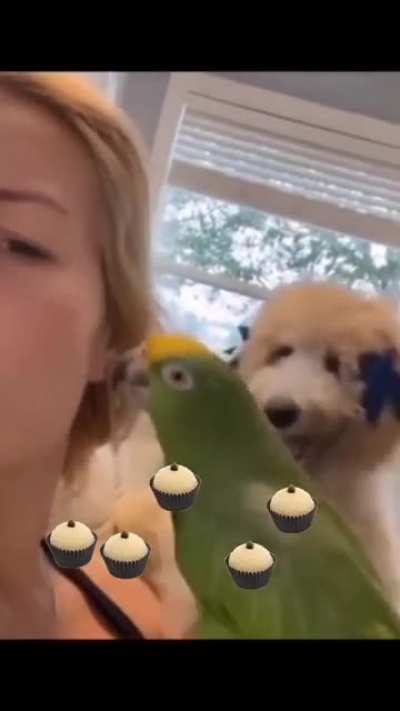 Jealousy