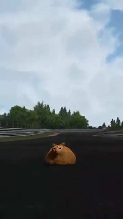 Fast wunk