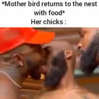 nature is beautiful 🐣