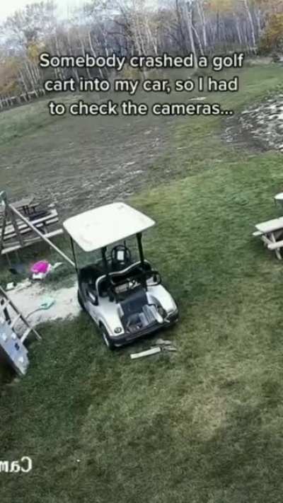 Insurance doesn’t cover acts of Dog