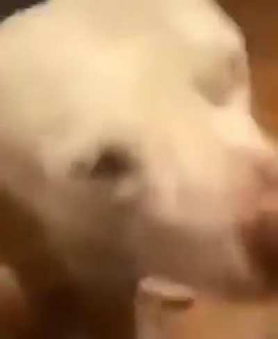 NOO-